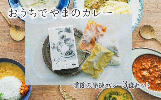 「おうちでやまのカレー」 季節の冷凍カレー3食セット 200g×3袋 専用BOX入り　カレー スパイス 薬膳 アーユルヴェーダ グルテンフリー 冷凍 1225633 - 愛媛県西条市