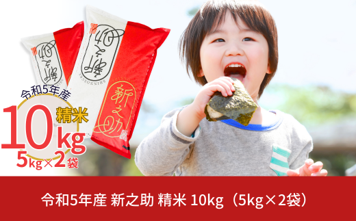 新潟県産 新之助 10kg (5kg×2袋