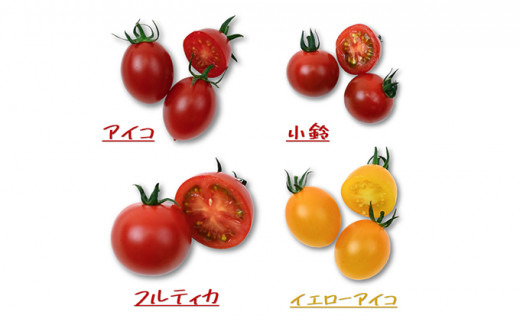 栃木県 鹿沼産 高糖度 フルーツトマト ”とまおとめ” 食べ比べ 2kg 野菜 トマト フルーツトマト 食べ比べ 2kg  お届け：2023年12月下旬～2024年6月上旬