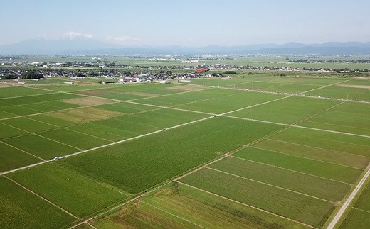 広大な庄内平野でとれた美味しいつや姫です