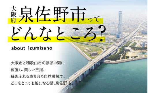 大人気の濃厚スイートポテトタルト 55g×6個 個包装 - 大阪府泉佐野市