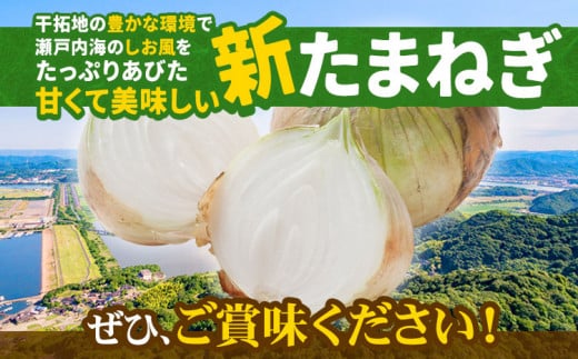 岡山県笠岡市のふるさと納税 【2025年先行予約】 しお風新たまねぎ 約10kg 2025年発送 先行予約《5月下旬-6月上旬頃出荷》 玉ねぎ 新たまねぎ 玉葱 たまねぎ 新玉 野菜 青果物 岡山県 笠岡市