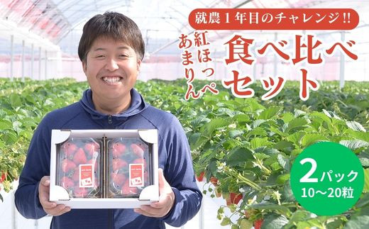 いちご 先行予約 中嶋さんちの自慢のいちご 約300g×4パック 配送不可