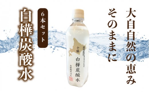 白樺炭酸水[N1-23] 1221411 - 北海道中札内村