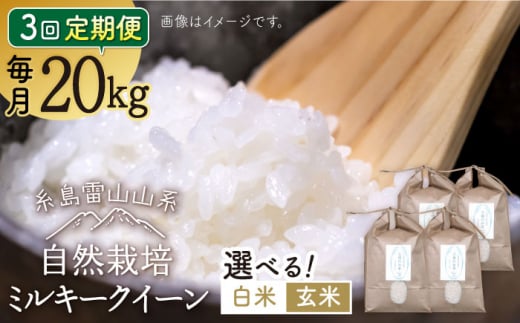 【白米】【全3回定期便】糸島産 ミルキークイーン 20kg 自然栽培 糸島市 / 大石ファーム [ATE038-1] 1217004 - 福岡県糸島市