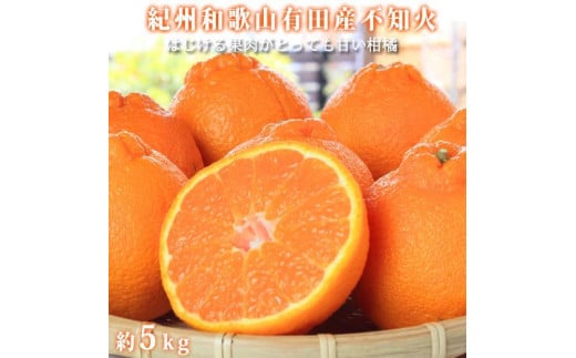 季節の柑橘と巨峰の定期便（不知火・清見オレンジ・巨峰） 全3回 【2・3・8月発送】