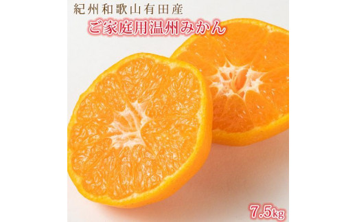 【訳あり】季節の柑橘定期便（みかん・不知火・清見オレンジ） 全3回 【1・2・3月発送】