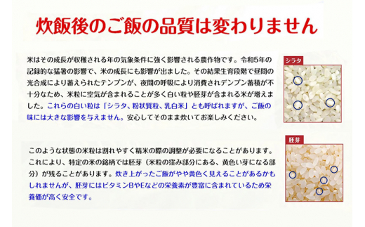 定期便3ヶ月》【7分搗き】あきたこまち 10kg 秋田県産 令和5年産