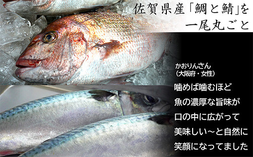 佐賀県産の鯛と鯖を贅沢に丸ごと一尾つかった贅沢なふりかけ。