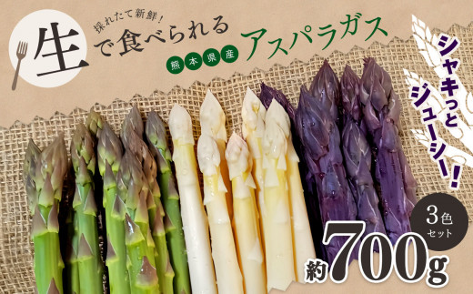 生で食べれる ‼ アスパラガス 3色 セット（ グリーン ・ホワイト ・ パープル  ）約 700g｜ 野菜 アスパラ ソムリエ 新鮮 健康 熊本県産 熊本 玉名 くまもと たまな