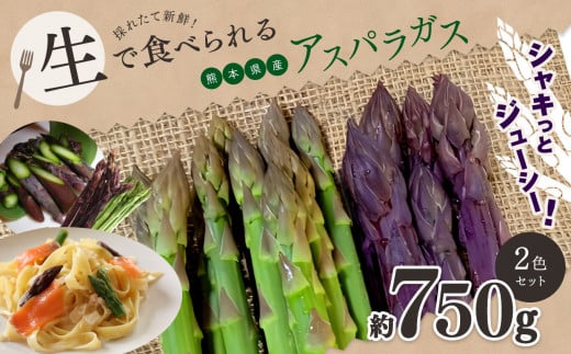 生で食べれる ‼ アスパラガス 2色 セット（ グリーン ・ パープル  ）約 750g ｜野菜 アスパラ ソムリエ 新鮮 健康 熊本県産 熊本 玉名 くまもと たまな