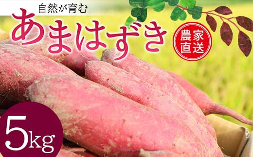 自然が育む『あまはずき』5kg さつまいも サツマイモ 芋 F3S-1997 1230639 - 山形県新庄市