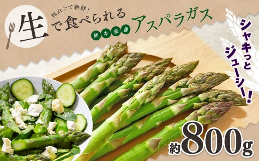生で食べれる ‼ アスパラガス （ グリーン ）約 800g 新鮮 アスパラ 野菜 ソムリエ 健康 熊本県産