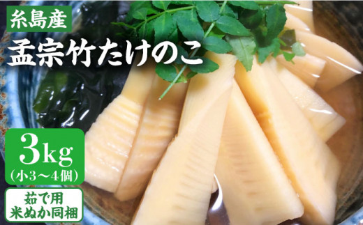 【先行予約受付中】産地直送「孟宗竹」 3kg 【2025年3月下旬以降順次発送】 糸島市 / シーブ たけのこ 筍 [AHC025] 414138 - 福岡県糸島市