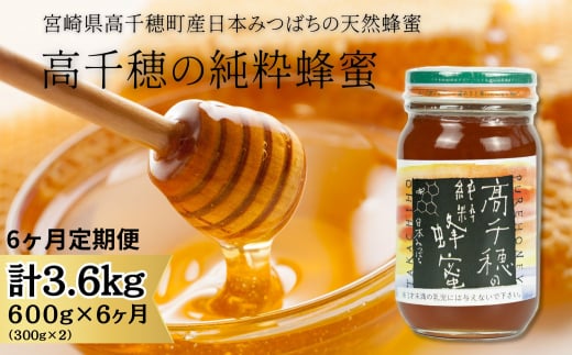 T-12【6ヶ月定期便】日本みつばち 高千穂の純粋蜂蜜 300g×2本 セット