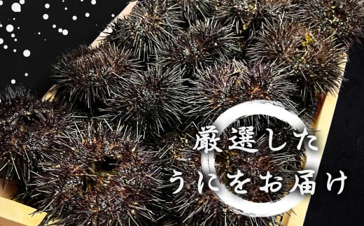 【2024年5月発送】北海道産 上ノ国町 塩水生うに 100g×2パック（橘水産株式会社 上ノ国工場）