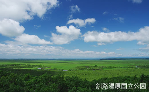釧路湿原国立公園の眺望