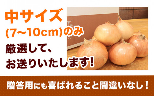 節減対象農薬 当地比5割減 サラダ玉ねぎ (中サイズ) 5kg 玉ねぎ サラダ玉ねぎ　《4月上旬-5月末頃出荷》熊本県 葦北郡 津奈木町 篠原農園  野菜 たまねぎ 自然栽培 大小サイズ混合