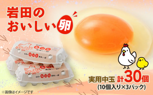 岩田のおいしい卵実用中玉30個(10個入り×3パック)【1039740】 1281155 - 群馬県榛東村
