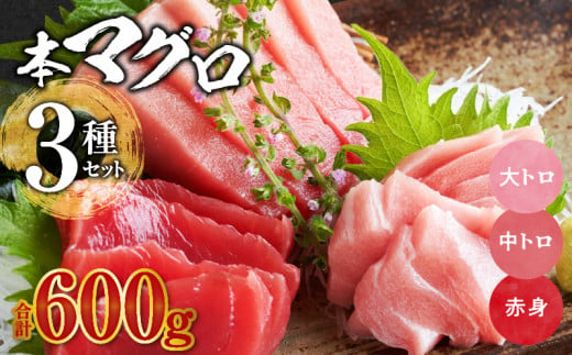 国産本マグロ　食べ比べセット 1193763 - 福岡県久留米市