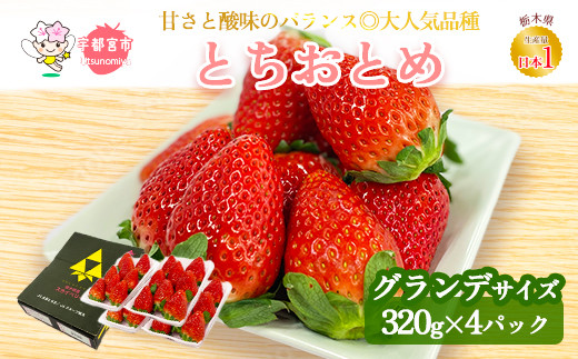 とちおとめ320g×4パック 約1.2kg グランデサイズ | いちご 苺 イチゴ フルーツ 果物 国産 平積み 甘い 糖度 旬 新鮮 フルーツ  アレンジ スイーツ いちごジャム フルーツサンド※2024年1月中旬頃より順次発送予定