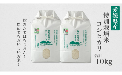 令和5年産 愛媛県産 特別栽培米コシヒカリ10kg【えひめの町（超）推し！（鬼北町）】(394)