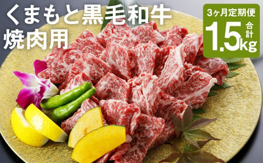【定期便3回】くまもと黒毛和牛 焼肉用 500g 合計1.5kg 1207367 - 熊本県菊池市