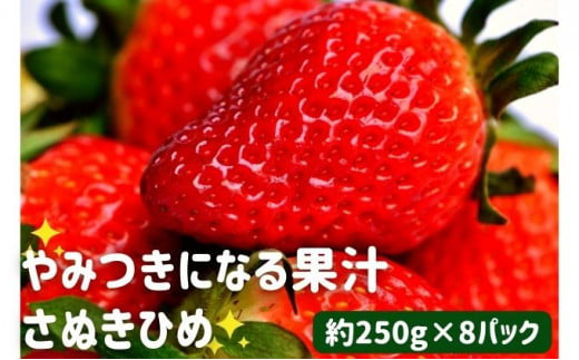 丸亀産　さぬきひめ苺 8パック【2月以降発送開始】 786570 - 香川県丸亀市