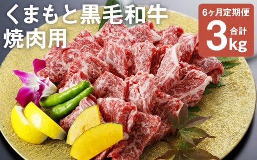 【定期便6回】くまもと黒毛和牛 焼肉用 500g 合計3kg 1207369 - 熊本県菊池市