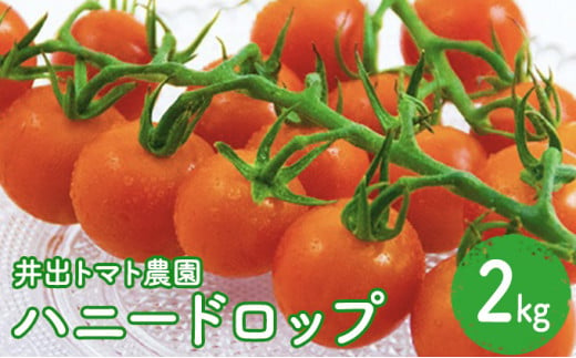 トマト 井出トマト農園 ハニードロップ 2kg 1023351 - 神奈川県藤沢市