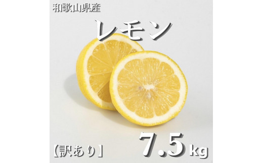 和歌山産 レモン 7.5kg  ［訳あり］ ［US2］ 1220318 - 和歌山県印南町
