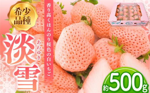 白 いちご 「 淡雪 」 約 500g フルーツ 果物 苺 イチゴ 希少品種