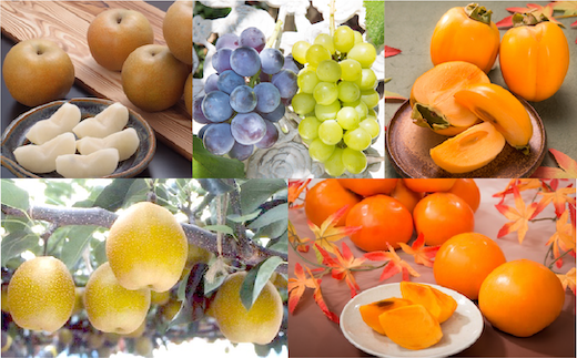 フルーツの里八頭町を代表する「梨・ぶどう・柿」を5ヶ月間毎月お届けします！