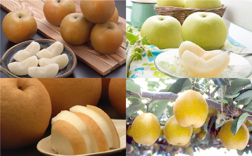 八頭町のフルーツを代表する「梨」。4つの品種をそれぞれ旬の時期にお届けします！