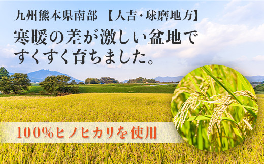 【保存料無添加】 熊本城 ごはん 200g×12個 合計2.4kg パックご飯 お米