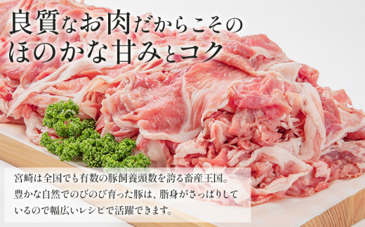 宮崎県宮崎市のふるさと納税 宮崎県産豚肉切り落とし 250g×12 合計3kg_M144-003