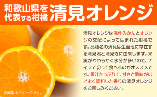 和歌山県日高川町のふるさと納税 熟成清見オレンジ秀品 5kg どの坂果樹園《3月上旬-5月中旬頃出荷》 和歌山県 日高川町 清見オレンジ 旬 柑橘 フルーツ 果物 オレンジ 熟成