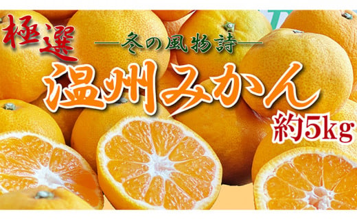 極撰！温州みかん　約５kg【11月以降発送開始】 1016173 - 香川県丸亀市