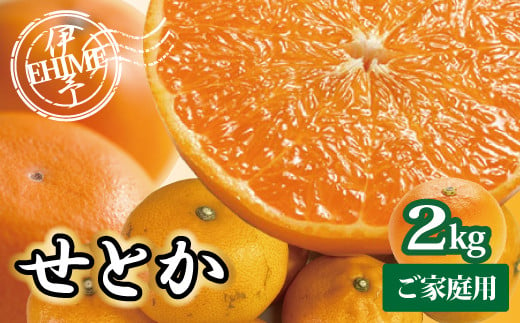 訳あり せとか 2kg ご家庭用 みかん 愛媛 人気 サイズミックス 柑橘 伊予市｜B235 1221258 - 愛媛県伊予市