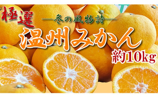 極撰！温州みかん　約１０kg【11月以降発送開始】 1016174 - 香川県丸亀市