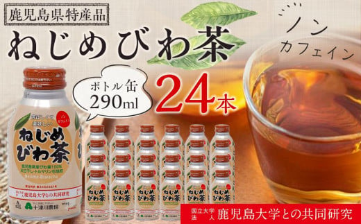 『ねじめびわ茶』ボトル缶【1ケース】（24本入り） 837621 - 鹿児島県南大隅町