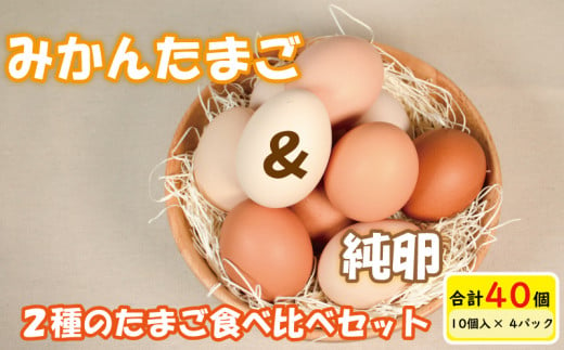 [発送月指定可]みかんたまご と 純卵-じゅんたまご 2種の卵食べ比べセット 計40個(10個×4パック) ※割れ保証5個 (卵 たまご タマゴ 玉子 卵料理 卵かけごはん 食べ比べ TKG エッグ egg 松山 愛媛県 )