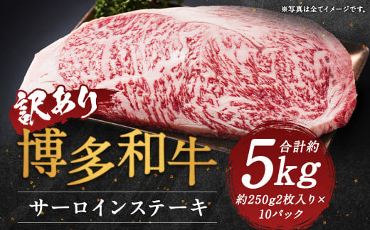 【訳あり】博多和牛サーロインステーキセット 約5kg(約250g2枚入り×10パック) 1204462 - 福岡県嘉麻市