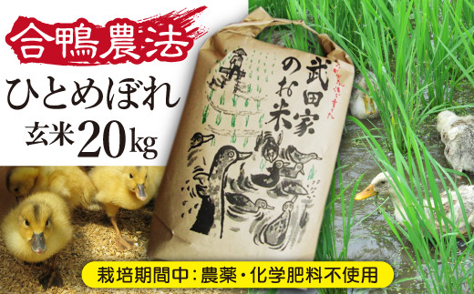 合鴨農法で生産された美味しいお米です！！