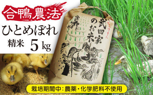 合鴨農法で生産された美味しいお米です！！