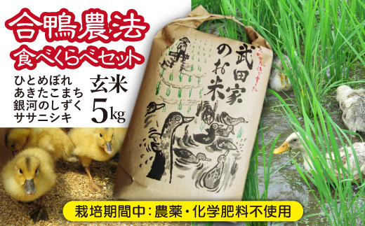 合鴨農法で作られたお米４種食べくらべセットです！！