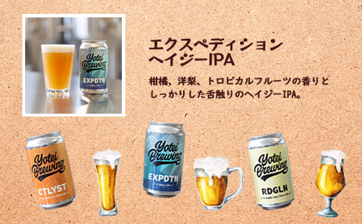 【北海道ニセコ町】ヨーテイブルーイング　クラフト缶ビール6缶セット（３種類×２缶）【09127】