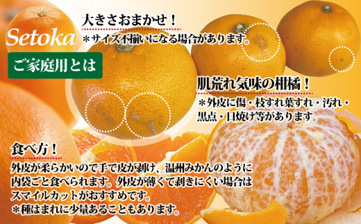 訳あり せとか 2kg ご家庭用 みかん 愛媛 人気 サイズミックス 柑橘 伊予市｜B235|株式会社　Avec