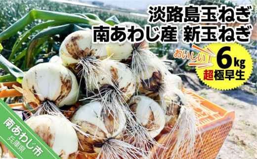 淡路島玉ねぎ　南あわじ産　新玉ねぎ（超極早生）６kg　期間限定！　◆配送２月～ 1222681 - 兵庫県南あわじ市