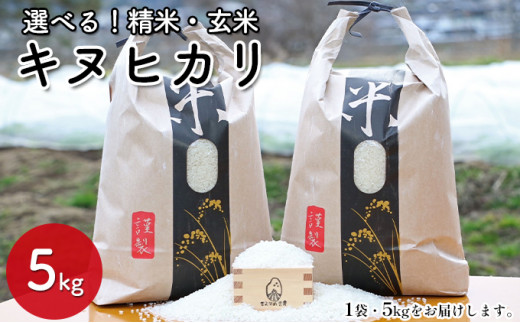 [兵庫県佐用町産]さよひめ営農のお米 5kg キヌヒカリ 精米/玄米